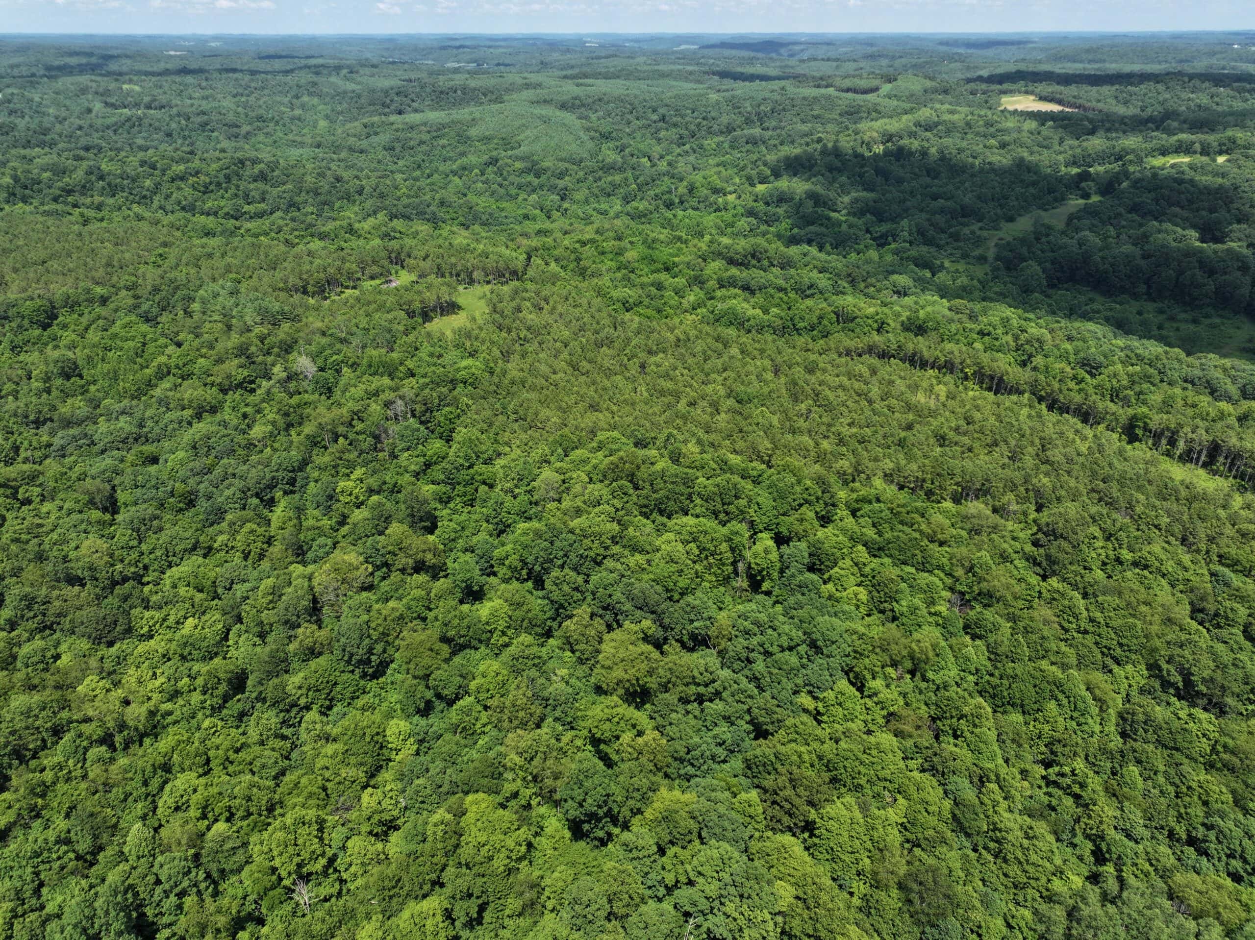 Secluded Turnkey Hunting Property