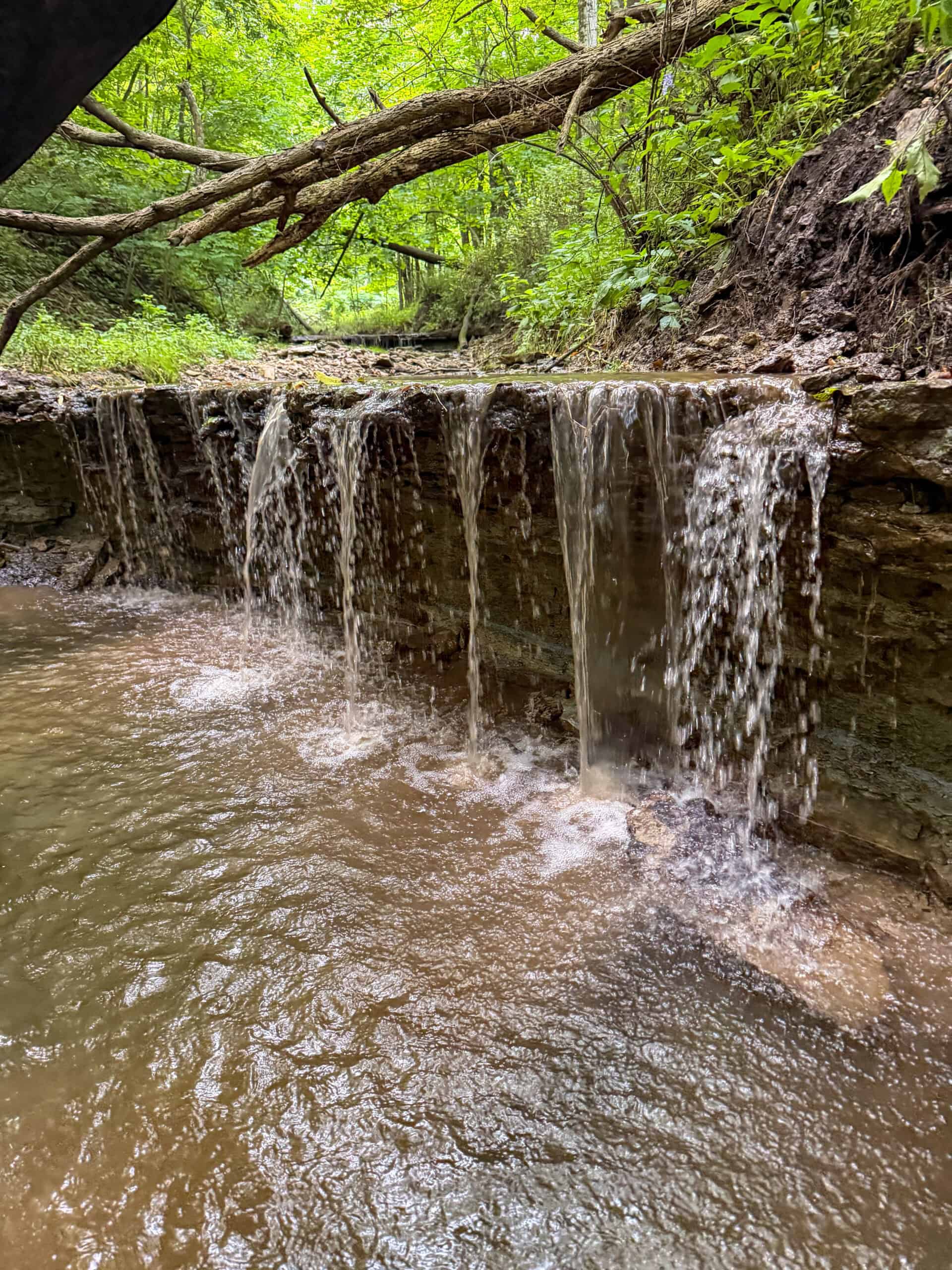 42+/- Acres with 4 Bedroom Home in Decorah IA