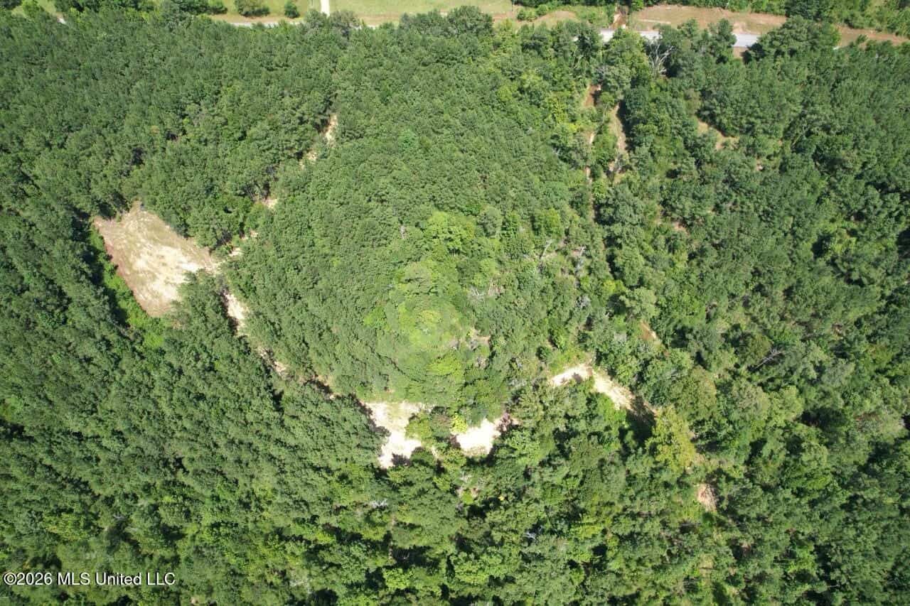 11± Acres in McCall Creek, MS with Creek Frontage