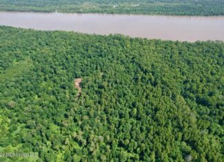 140± Acres in West Feliciana Parish, LA