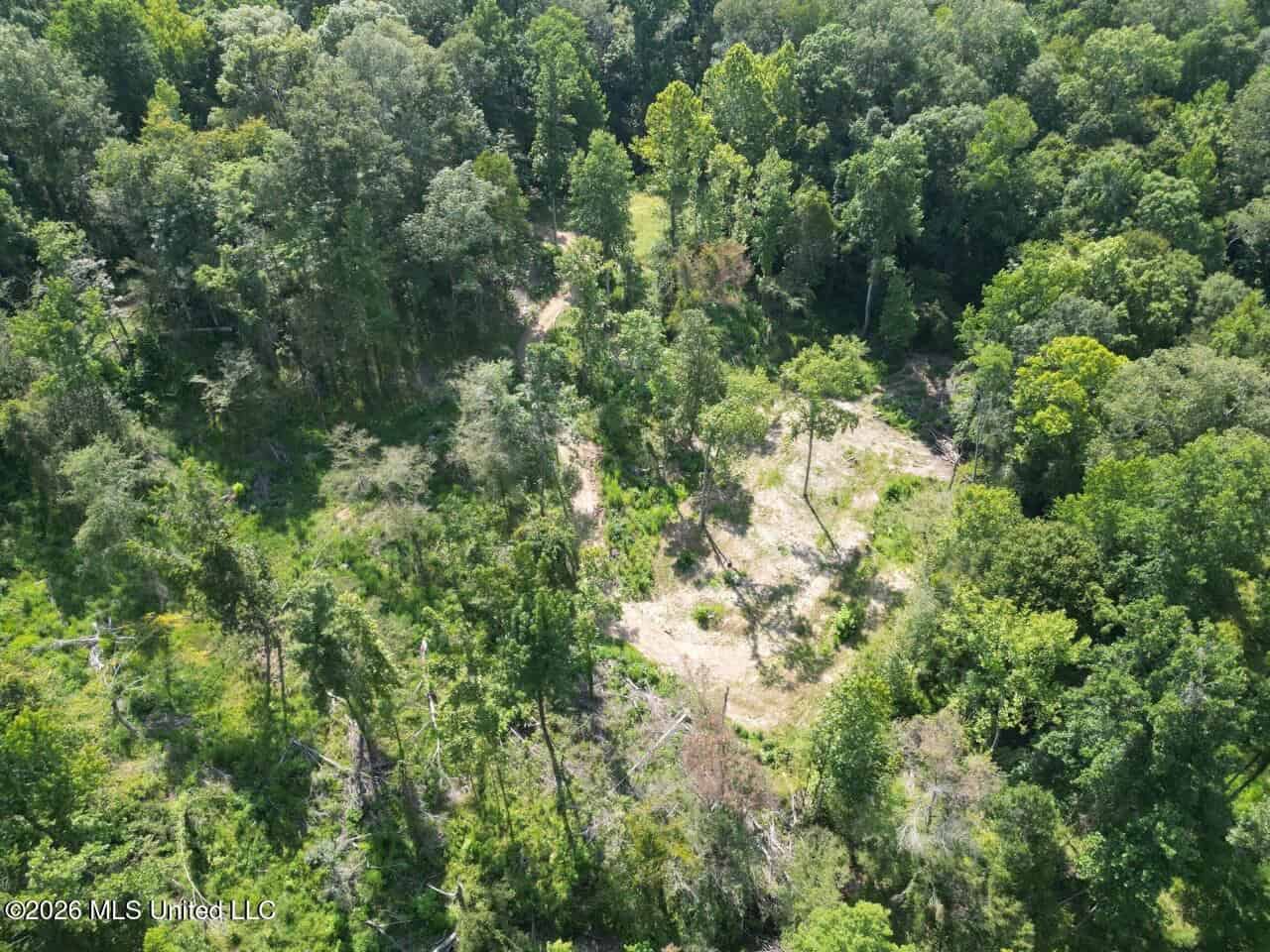 375± Acres in Jefferson County, MS Near Natchez Trace