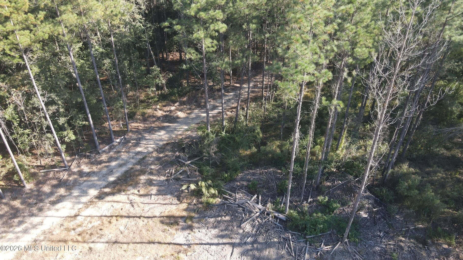 35 Acres for Sale in Pelahatchie, MS | Rankin County
