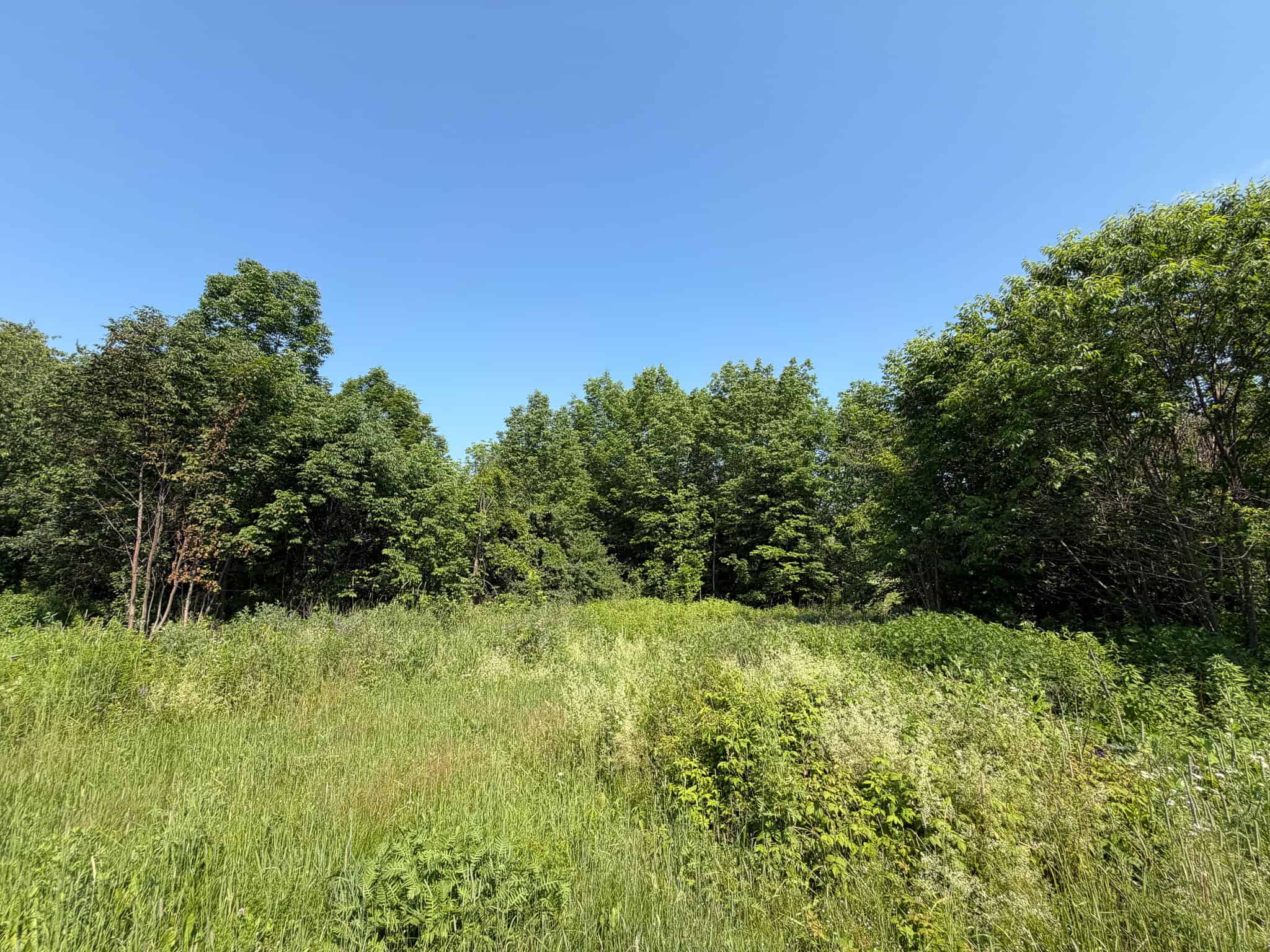 90 Acre Parcel with Potential – Corinth, Maine
