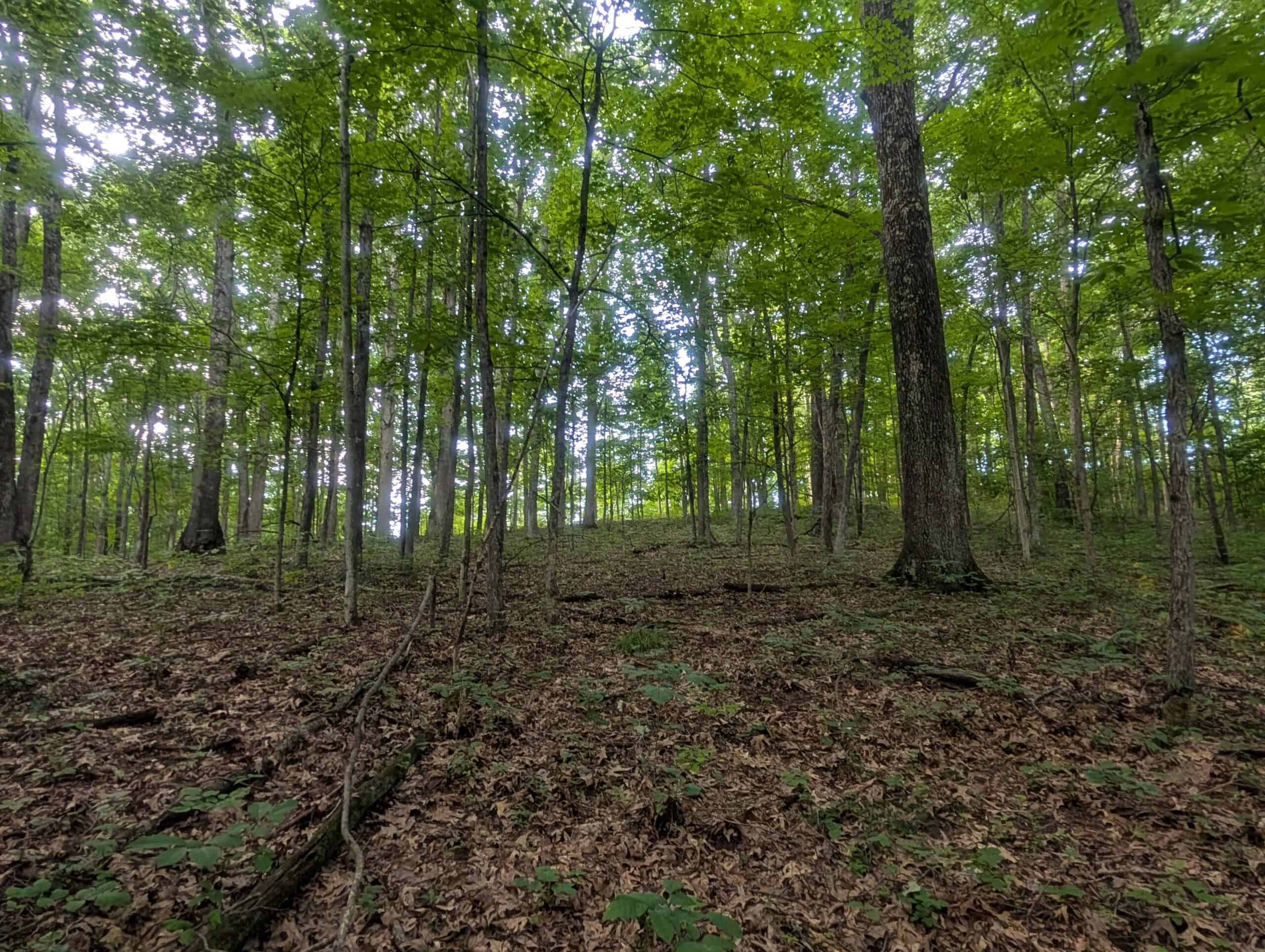 Camper Ready Recreational Tract in Noble County