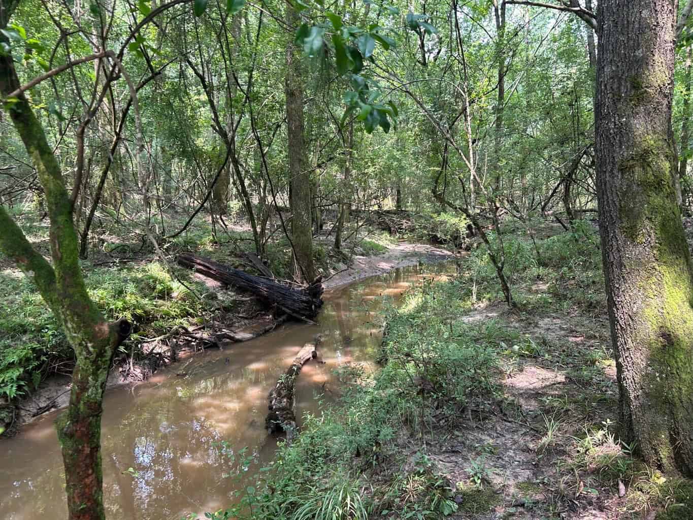 Tuckers Crossing 31 – Land for Sale Jones County, MS