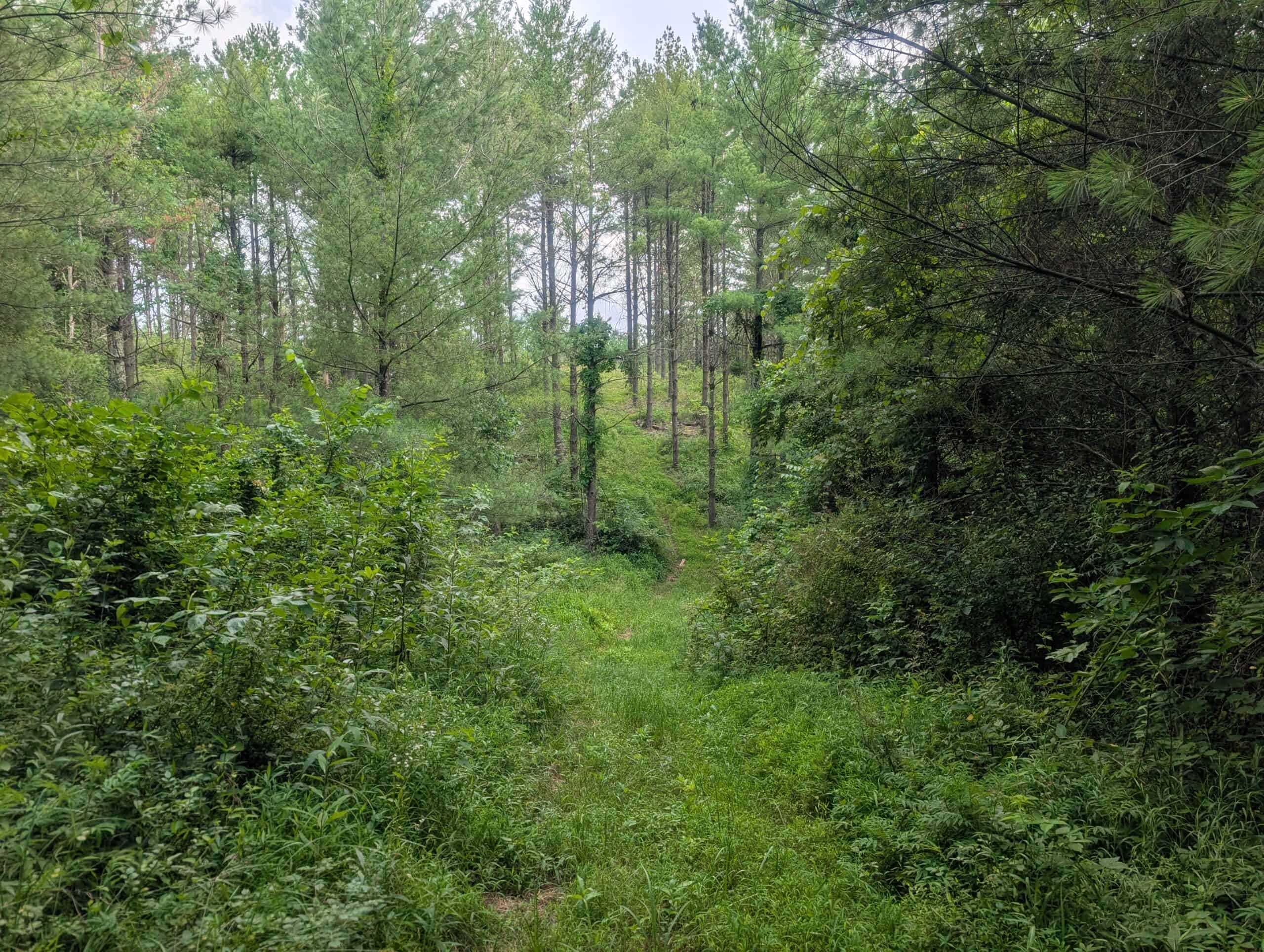 Noble County Investment and Hunting