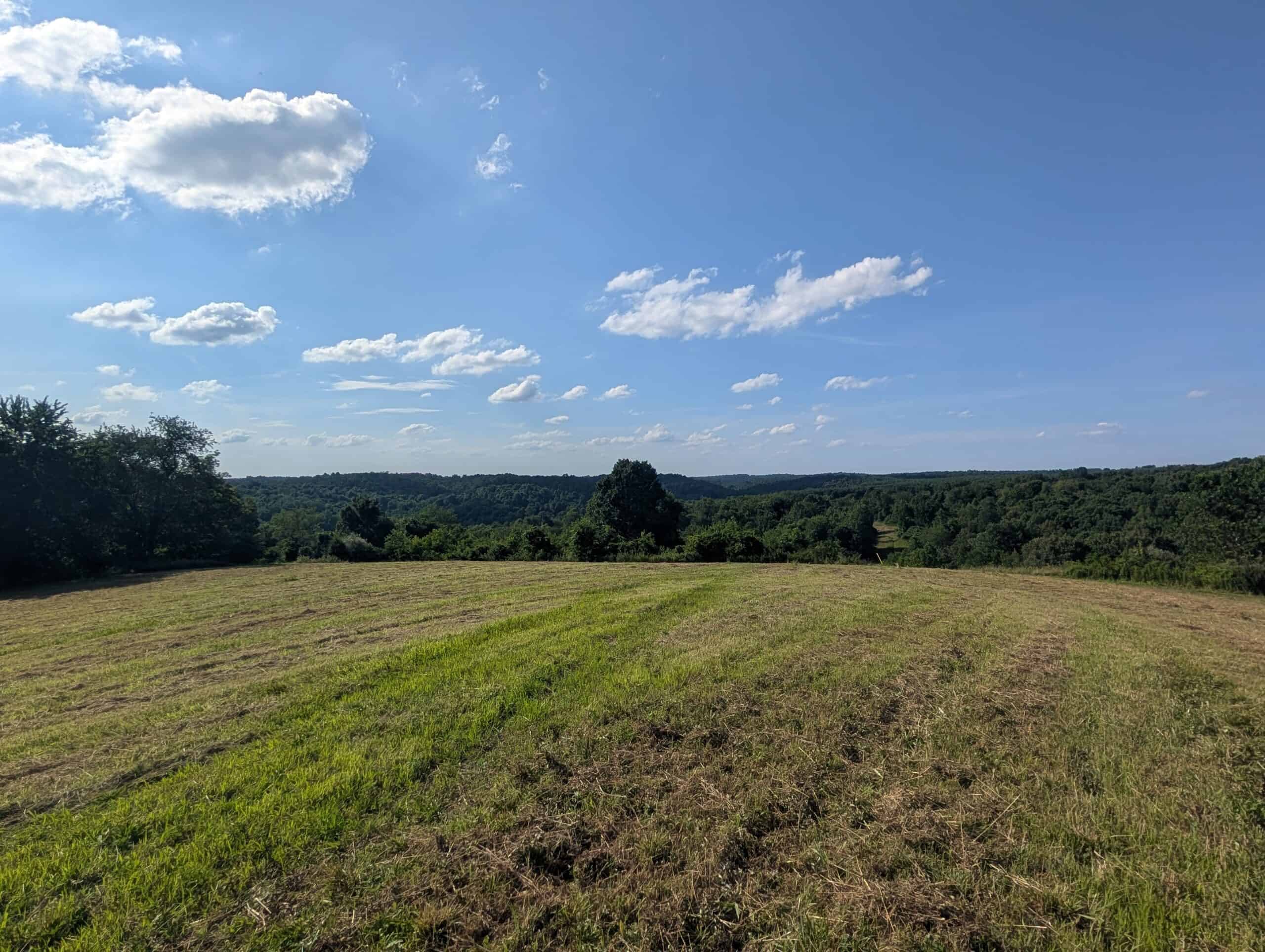 Dream Turnkey Morgan County Hunting Property