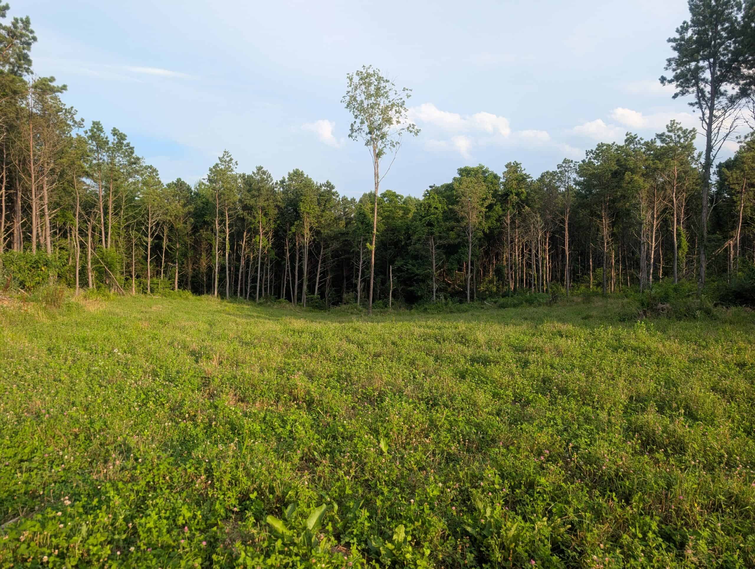 Secluded Turnkey Hunting Property