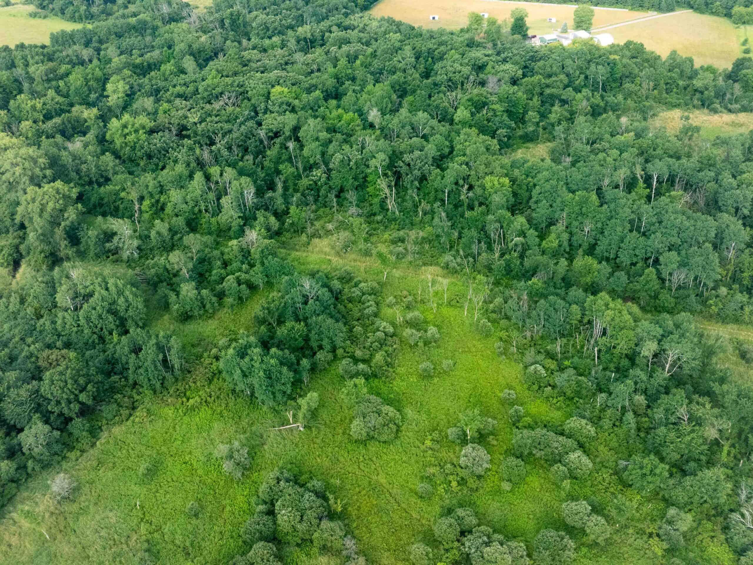Town of Lewiston Columbia County WI 86+/- Acre Farm brought to you at Online Only Auction