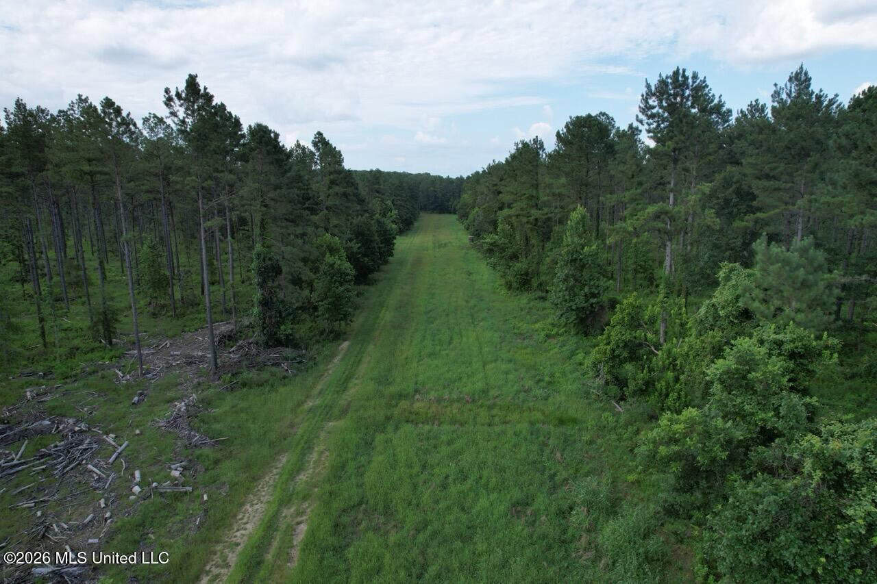 Wilkinson County, MS Hunting Club Membership