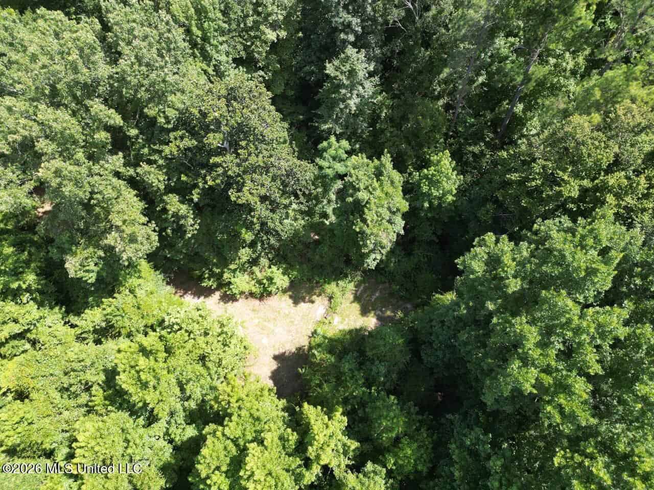 45± Acres in Aimwell, LA with Ford Creek Frontage
