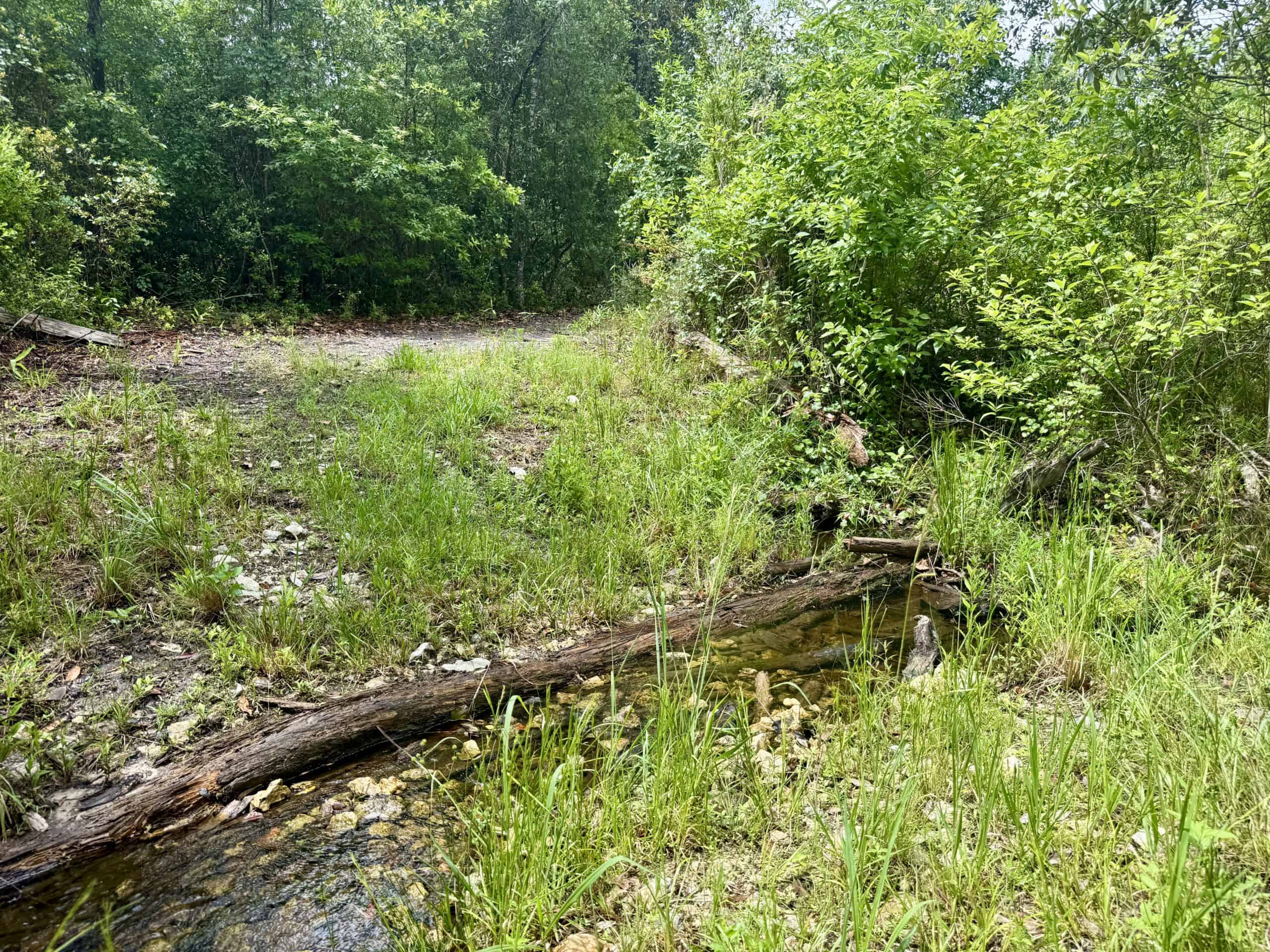 130 Acres on the Chipola River | Hunting, Fishing & Recreation