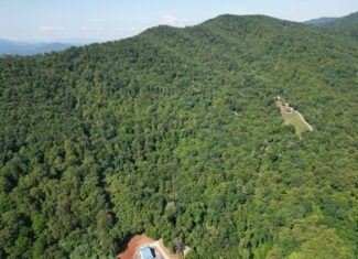 93± Acres of Secluded Hunting & Homesite Land in VA