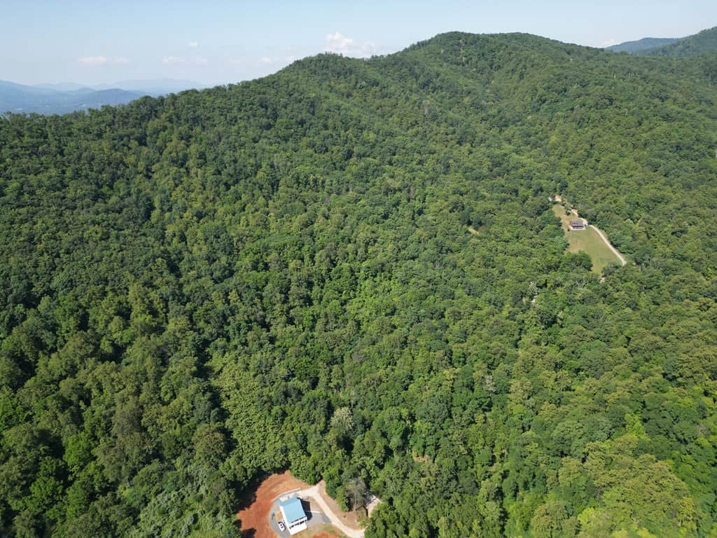 93± Acres of Secluded Hunting & Homesite Land in VA
