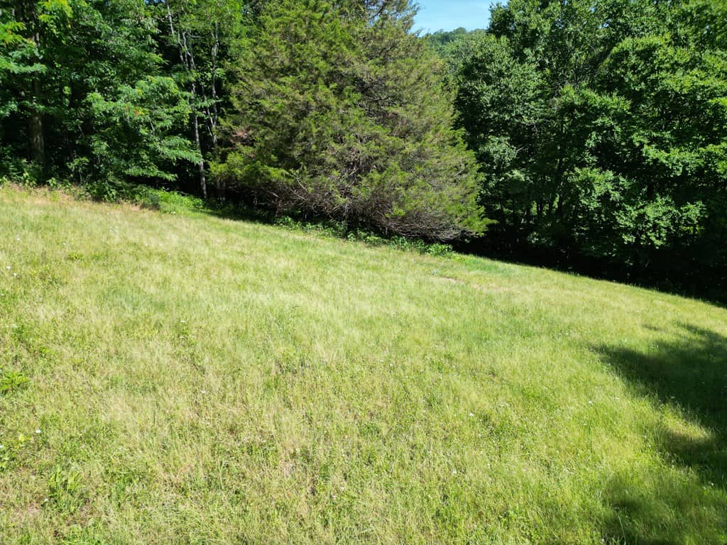 93± Acres of Secluded Hunting & Homesite Land in VA