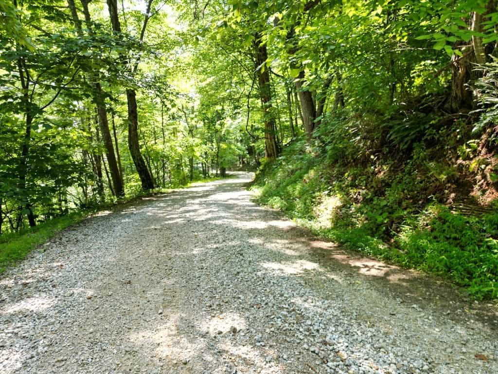 93± Acres of Secluded Hunting & Homesite Land in VA
