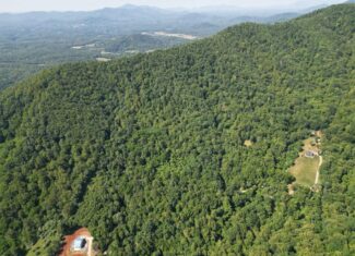 93± Acres of Secluded Hunting & Homesite Land in VA