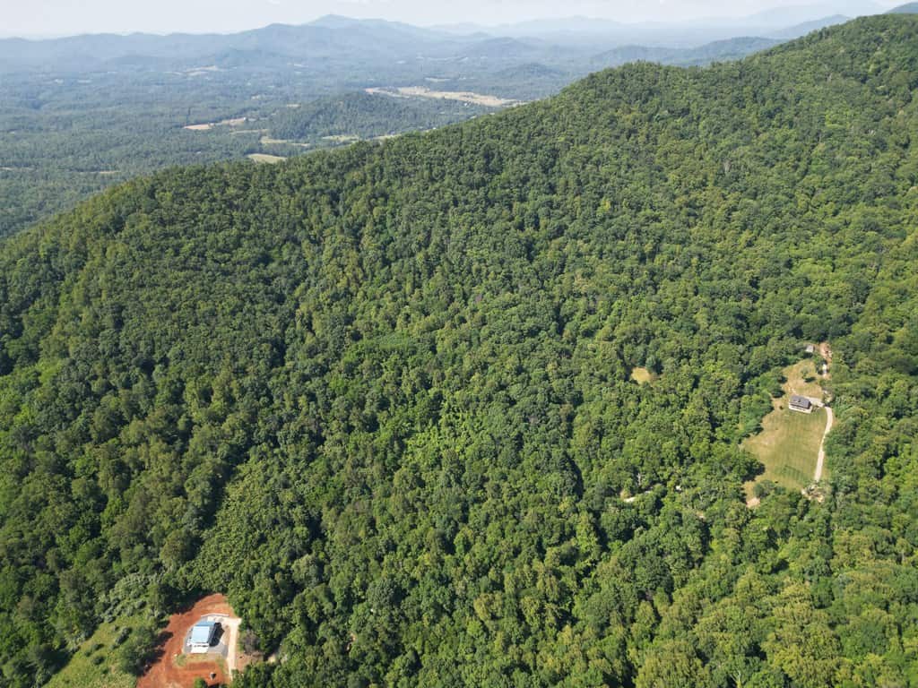 93± Acres of Secluded Hunting & Homesite Land in VA