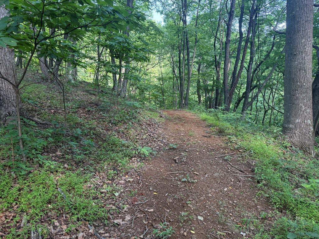 93± Acres of Secluded Hunting & Homesite Land in VA
