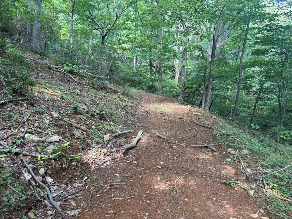 93± Acres of Secluded Hunting & Homesite Land in VA