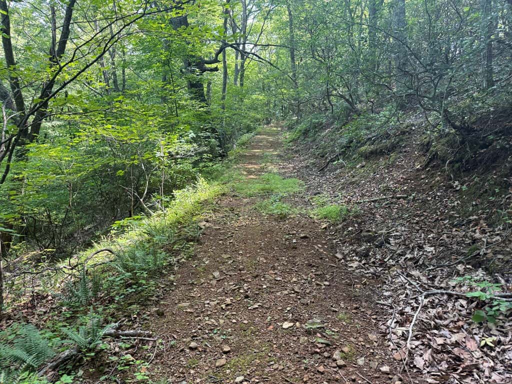93± Acres of Secluded Hunting & Homesite Land in VA