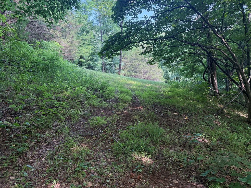 93± Acres of Secluded Hunting & Homesite Land in VA
