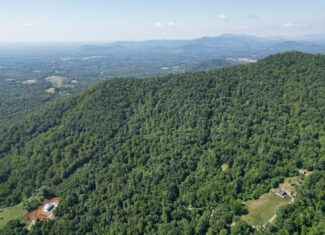 93± Acres of Secluded Hunting & Homesite Land in VA