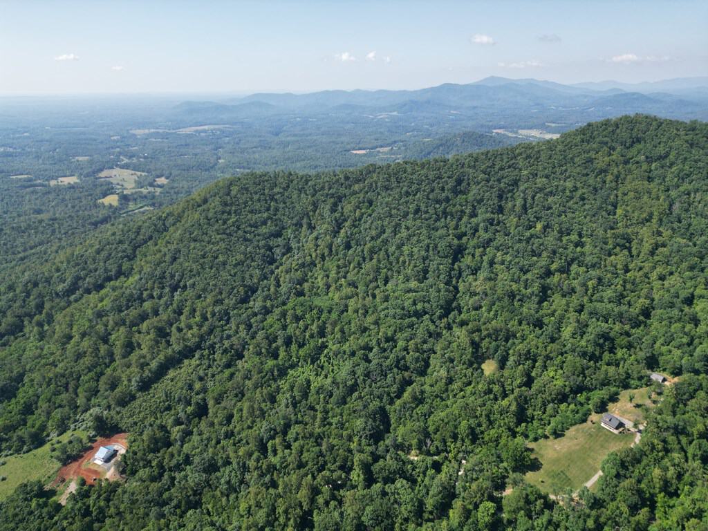 93± Acres of Secluded Hunting & Homesite Land in VA