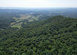 93± Acres of Secluded Hunting & Homesite Land in VA