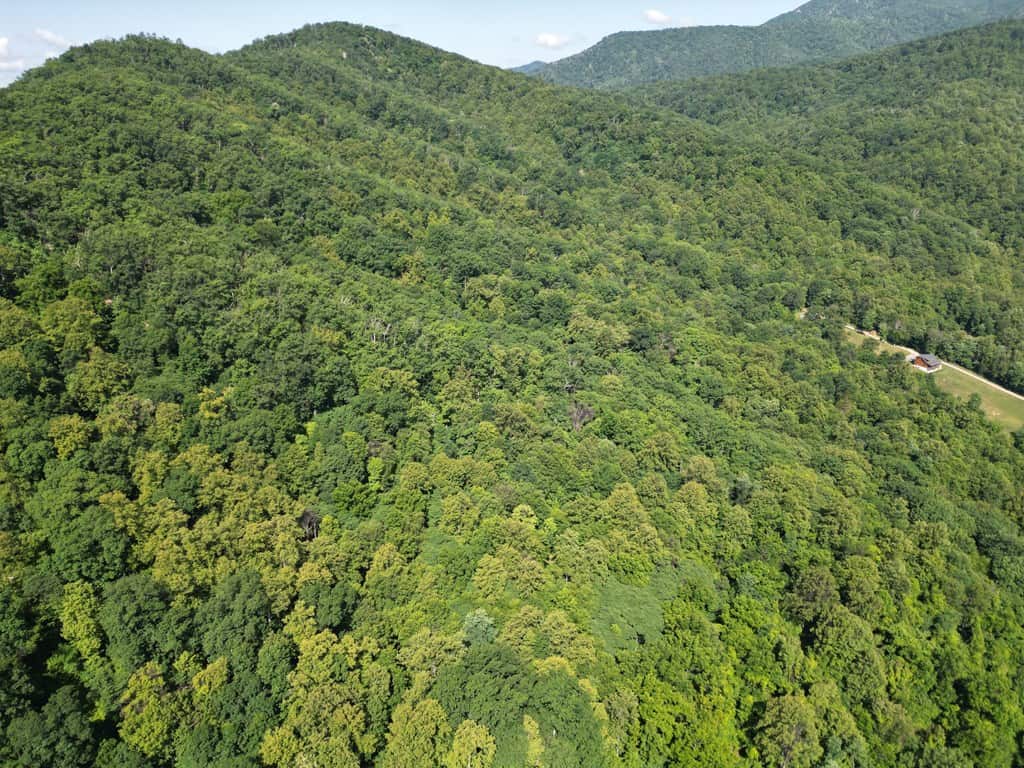 93± Acres of Secluded Hunting & Homesite Land in VA
