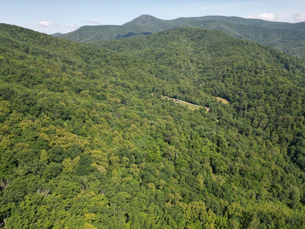 93± Acres of Secluded Hunting & Homesite Land in VA