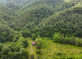 25-Acre Homestead Ready for Your Country Dream
