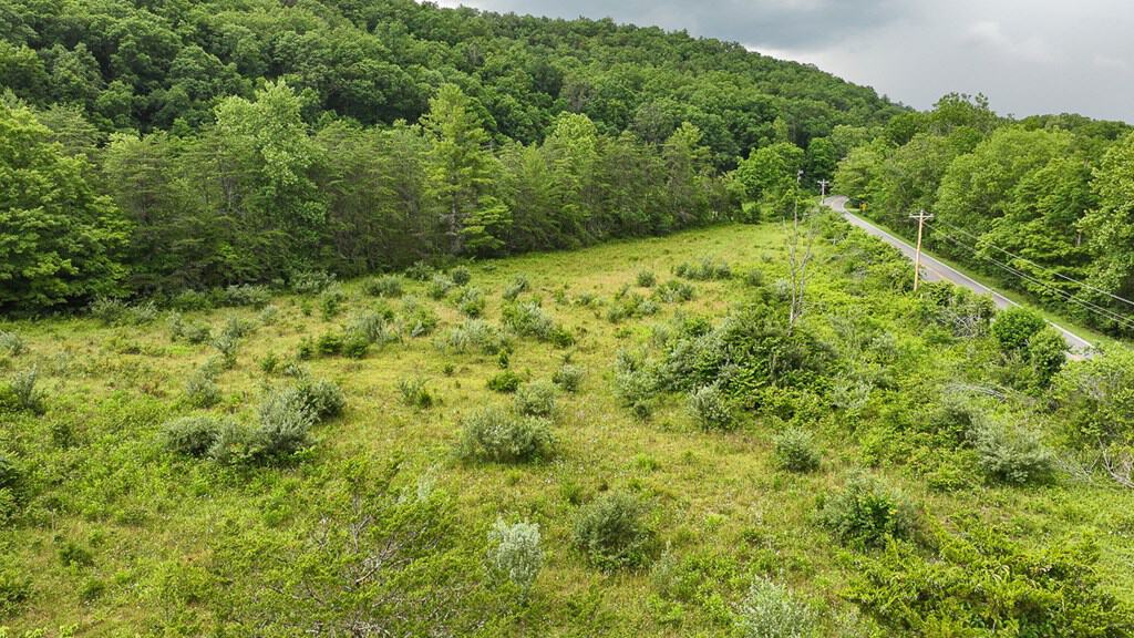 25-Acre Homestead Ready for Your Country Dream