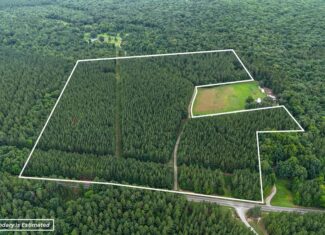 Private 31.5-Acre Retreat Bordering Virginia State Land