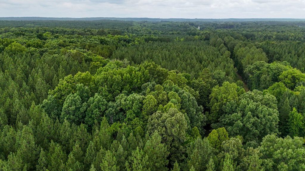 Private 31.5-Acre Retreat Bordering Virginia State Land
