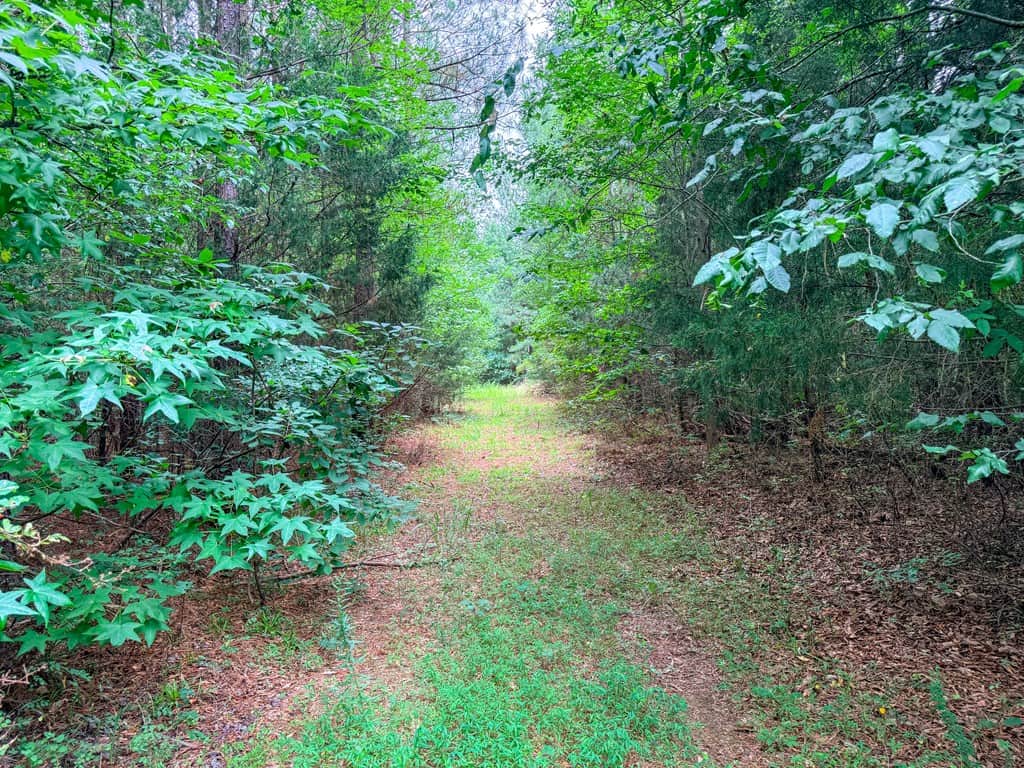 Private 31.5-Acre Retreat Bordering Virginia State Land