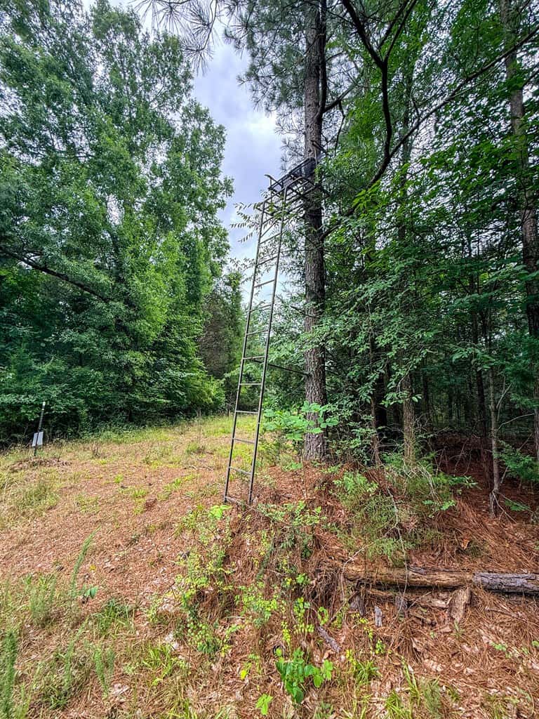 Private 31.5-Acre Retreat Bordering Virginia State Land