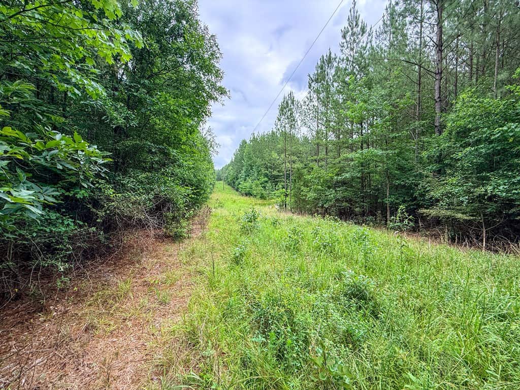 Private 31.5-Acre Retreat Bordering Virginia State Land