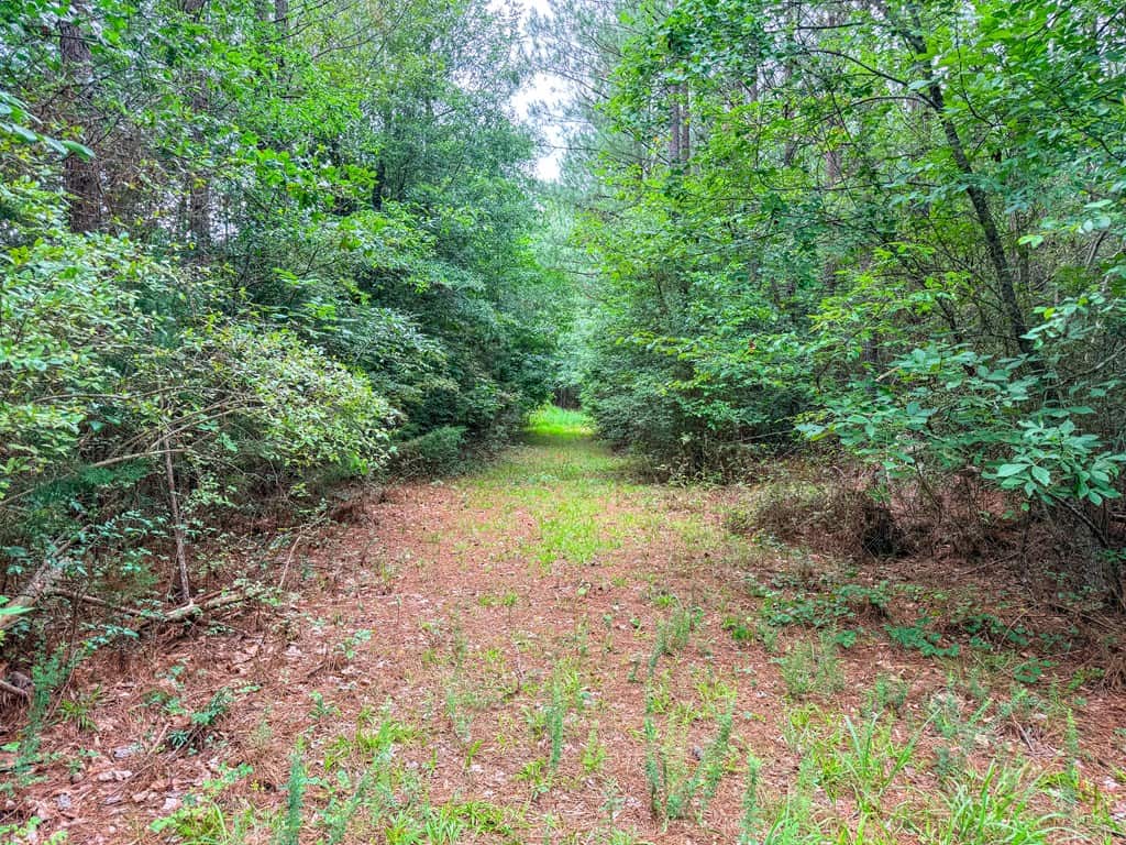Private 31.5-Acre Retreat Bordering Virginia State Land
