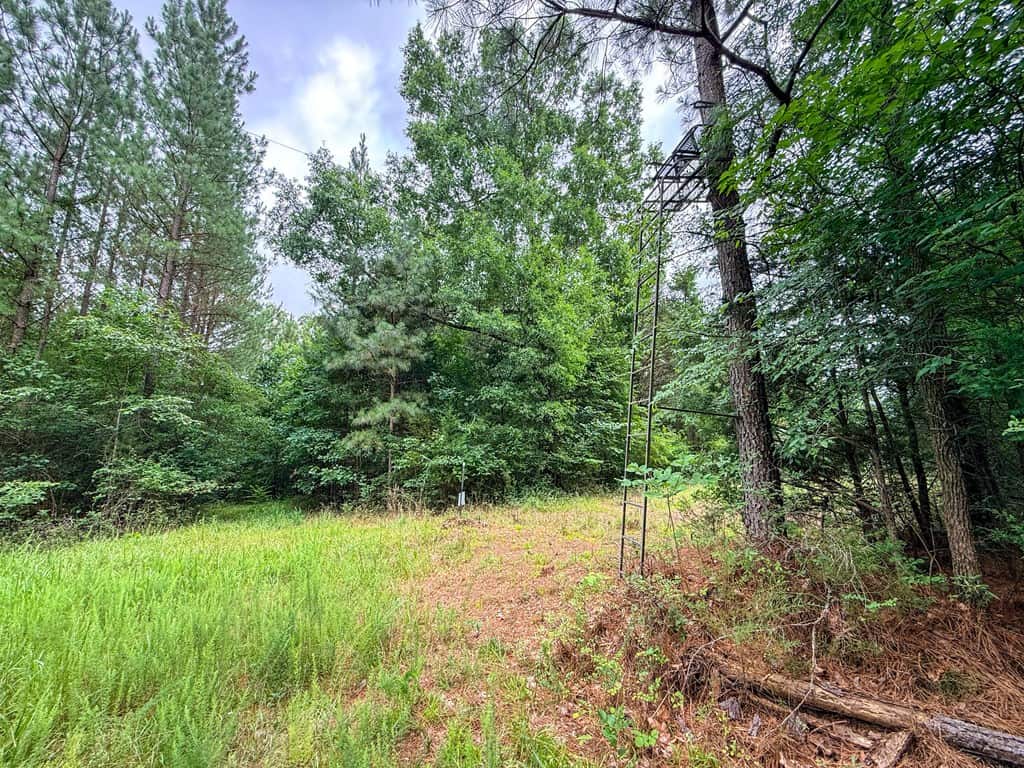 Private 31.5-Acre Retreat Bordering Virginia State Land