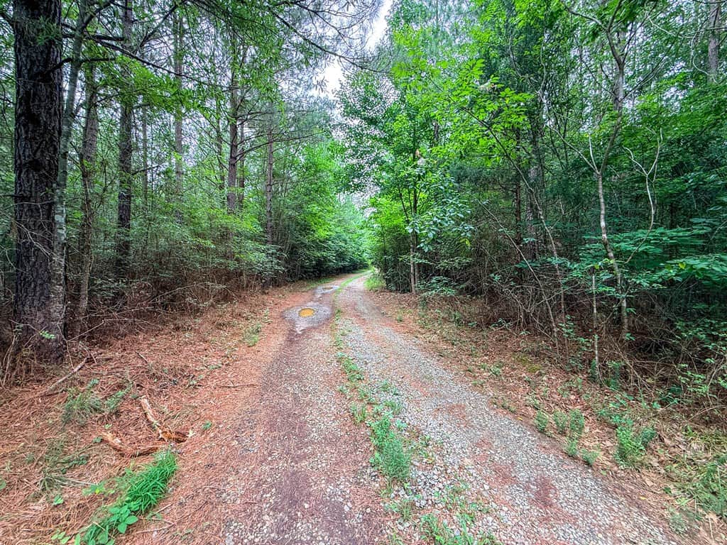 Private 31.5-Acre Retreat Bordering Virginia State Land