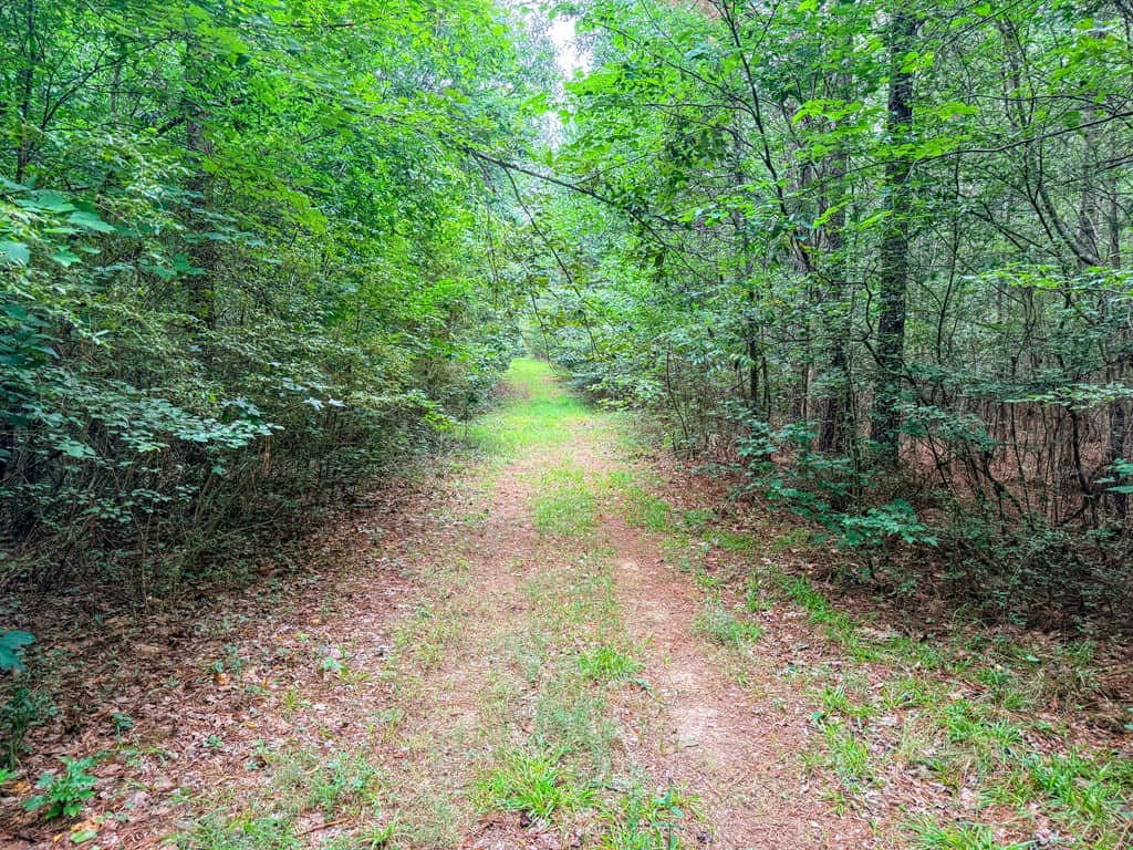 Private 31.5-Acre Retreat Bordering Virginia State Land