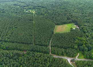 Private 31.5-Acre Retreat Bordering Virginia State Land