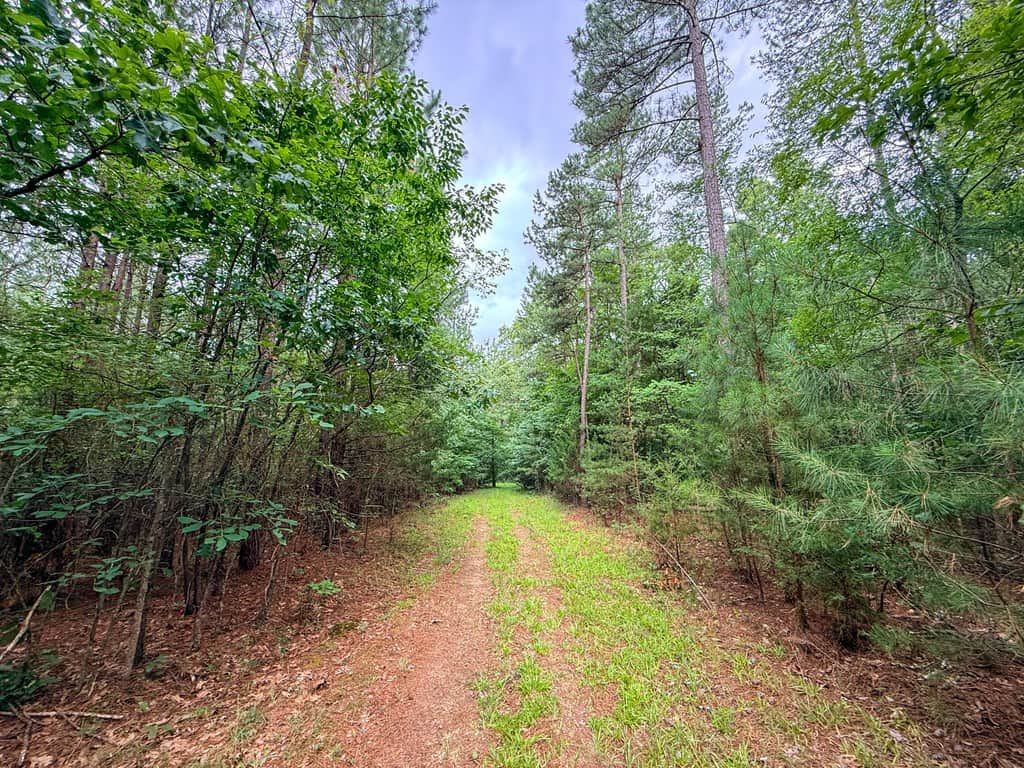 Private 31.5-Acre Retreat Bordering Virginia State Land