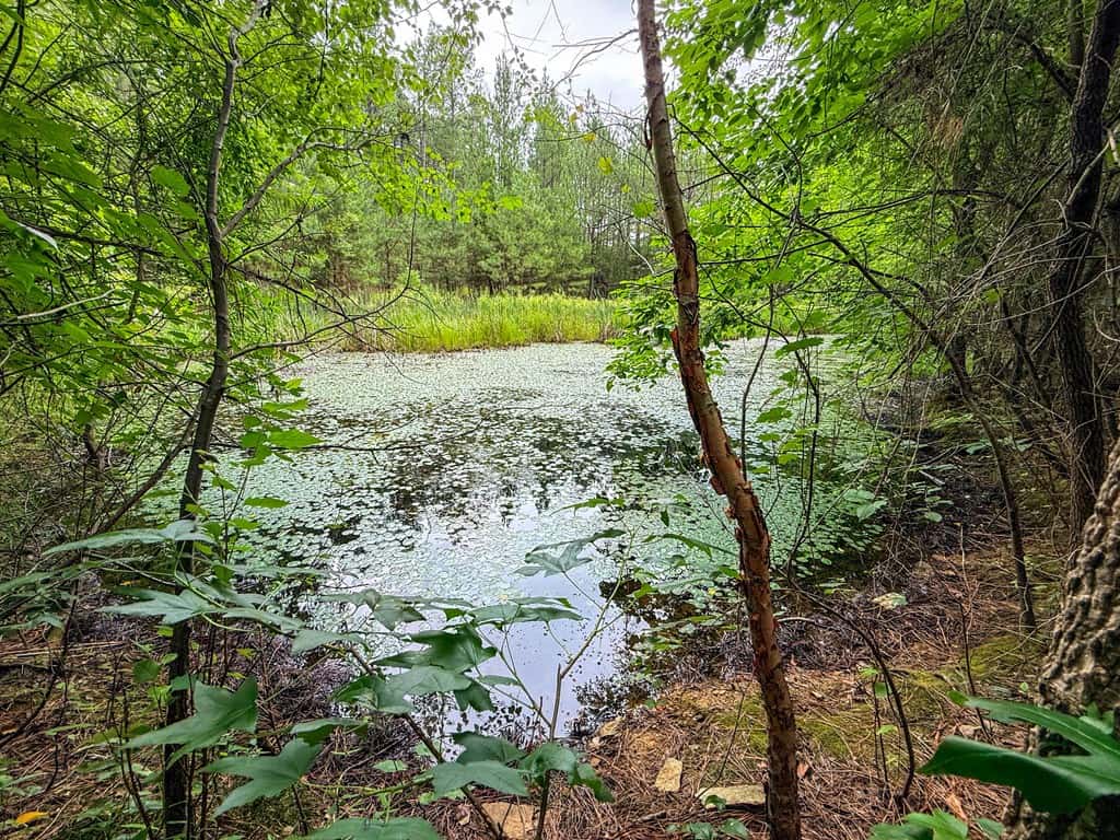 Private 31.5-Acre Retreat Bordering Virginia State Land