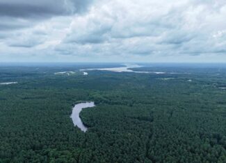 Private 31.5-Acre Retreat Bordering Virginia State Land