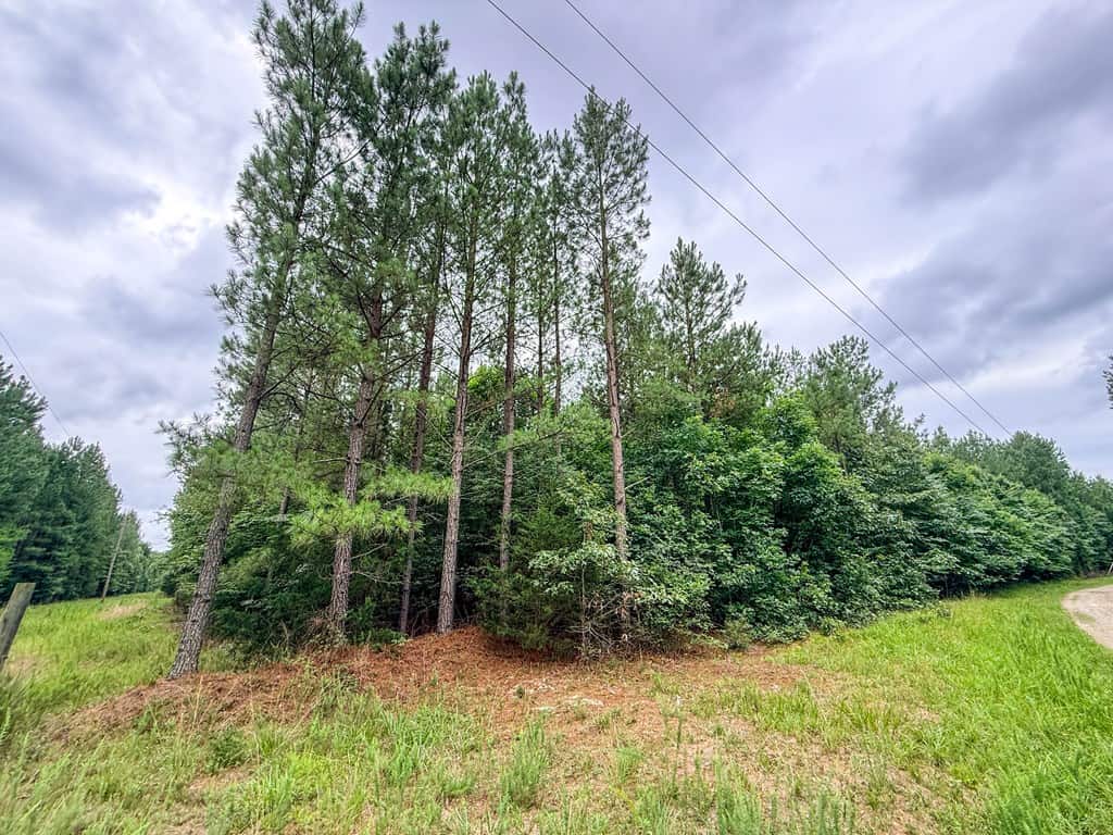 Private 31.5-Acre Retreat Bordering Virginia State Land