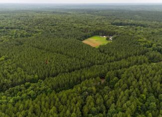 Private 31.5-Acre Retreat Bordering Virginia State Land