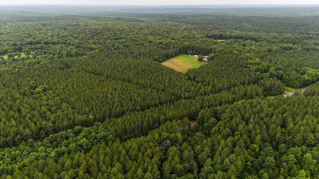 Private 31.5-Acre Retreat Bordering Virginia State Land