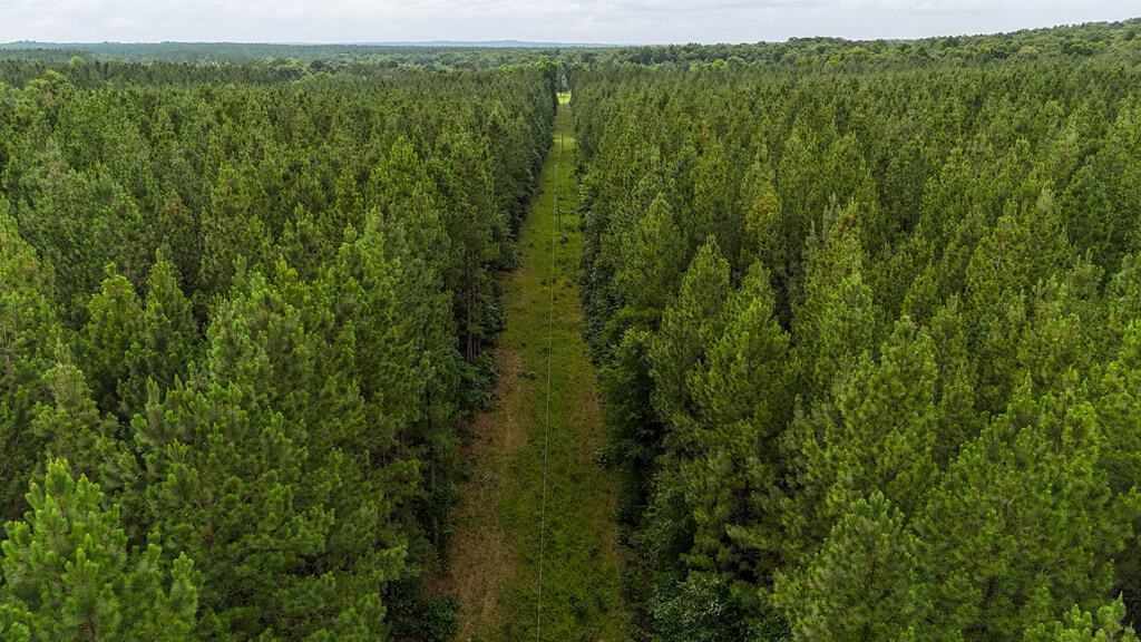 Private 31.5-Acre Retreat Bordering Virginia State Land